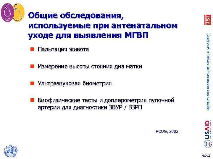 n Пальпация живота n Измерение высоты стояния дна матки n Ультразвуковая биометрия n Биофизические
