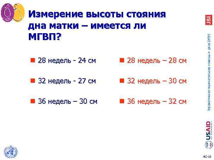 n 28 недель - 24 см n 28 недель – 28 см n 32