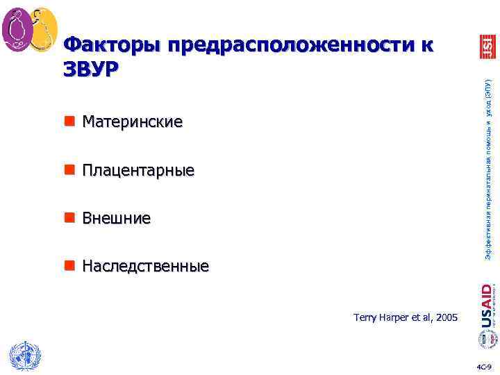 n Материнские n Плацентарные n Внешние n Наследственные Эффективная перинатальная помощь и уход (ЭПУ)