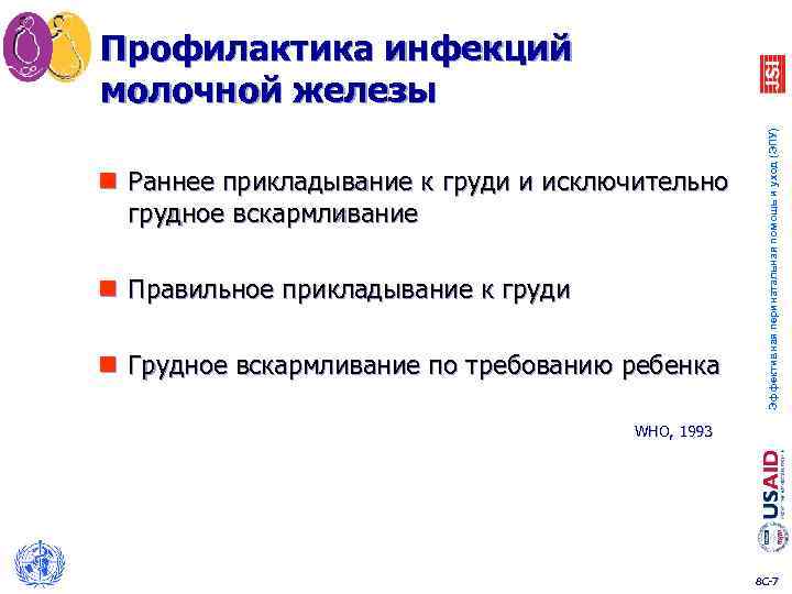 n Раннее прикладывание к груди и исключительно грудное вскармливание n Правильное прикладывание к груди