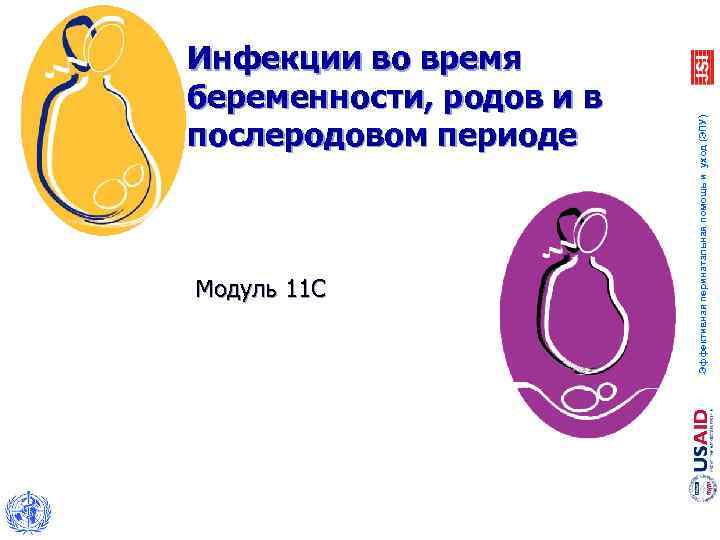Модуль 11 C Эффективная перинатальная помощь и уход (ЭПУ) Инфекции во время беременности, родов
