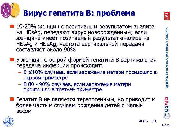 n 10 -20% женщин с позитивным результатом анализа на HBs. Ag, передают вирус новорожденным;