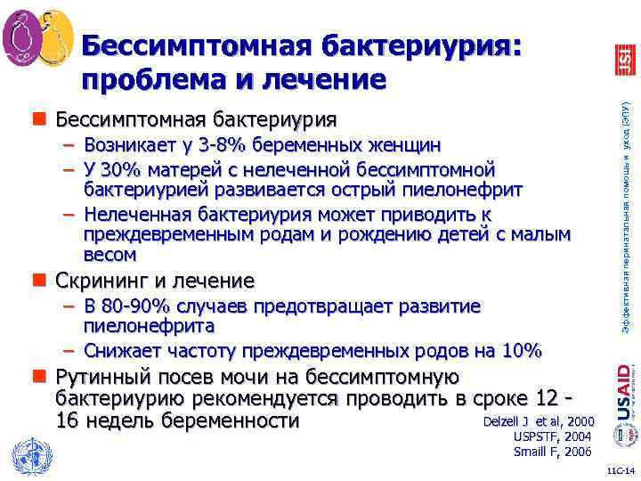 n Бессимптомная бактериурия – Возникает у 3 -8% беременных женщин – У 30% матерей