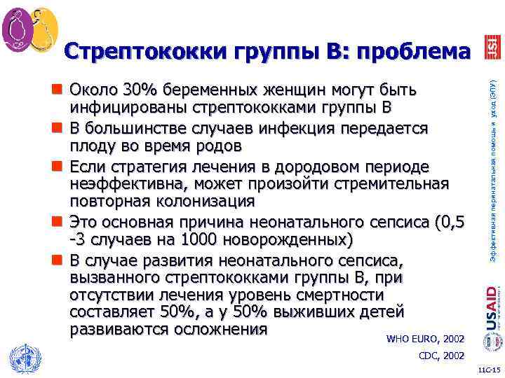 n Около 30% беременных женщин могут быть инфицированы стрептококками группы B n В большинстве