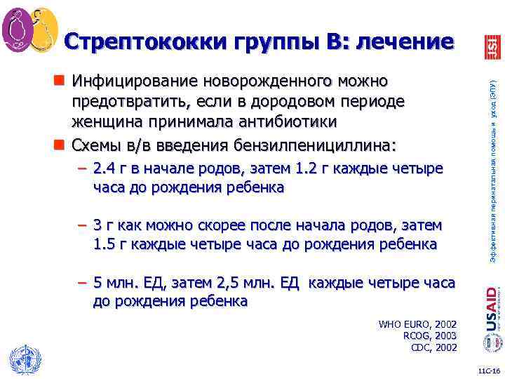 n Инфицирование новорожденного можно предотвратить, если в дородовом периоде женщина принимала антибиотики n Схемы