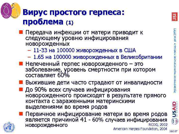 n Передача инфекции от матери приводит к следующему уровню инфицирования новорожденных – 11 -33
