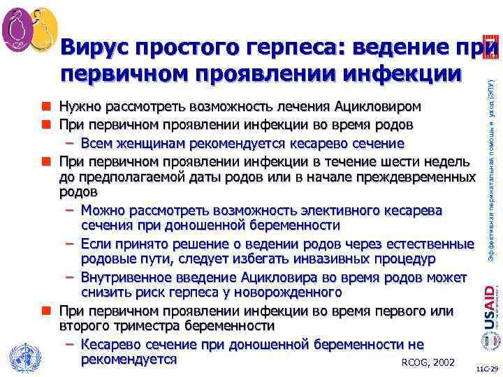 Эффективная перинатальная помощь и уход (ЭПУ) Вирус простого герпеса: ведение при первичном проявлении инфекции