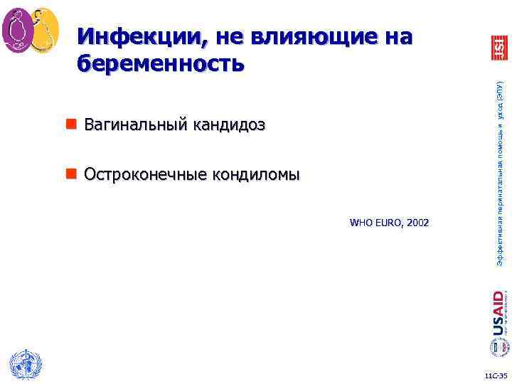 n Вагинальный кандидоз n Остроконечные кондиломы WHO EURO, 2002 Эффективная перинатальная помощь и уход