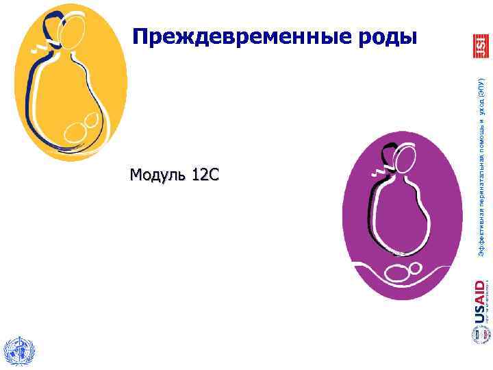 Модуль 12 C Эффективная перинатальная помощь и уход (ЭПУ) Преждевременные роды 