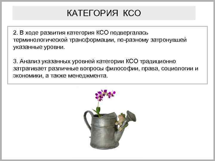 КАТЕГОРИЯ КСО 2. В ходе развития категория КСО подвергалась терминологической трансформации, по-разному затронувшей указанные