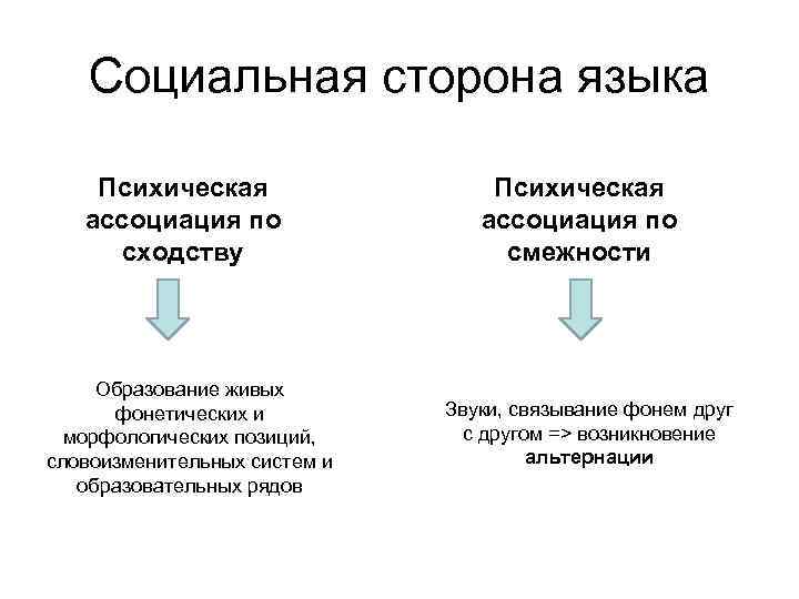 Социальная сторона языка Психическая ассоциация по сходству Образование живых фонетических и морфологических позиций, словоизменительных