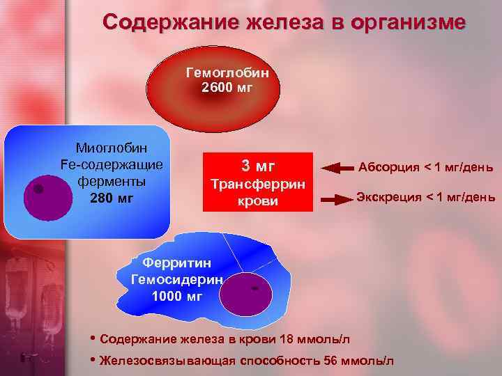 Содержание железа в организме Гемоглобин 2600 мг Миоглобин Fe-содержащие ферменты 280 мг 3 мг