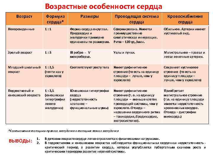 Система возрастов. Возрастные структурные особенности сердца. Возрастные особенности кровообращения у детей и подростков. Возрастные особенности строения сердца. Возрастные особенности сердечно сосудистой системы.