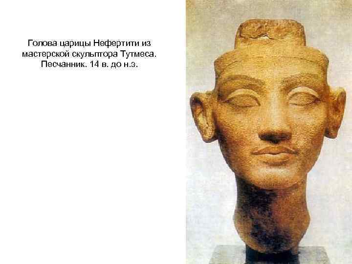 Голова царицы Нефертити из мастерской скульптора Тутмеса. Песчанник. 14 в. до н. э. 