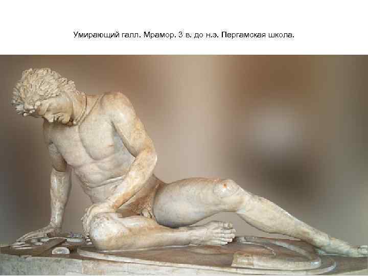 Умирающий галл. Мрамор. 3 в. до н. э. Пергамская школа. 