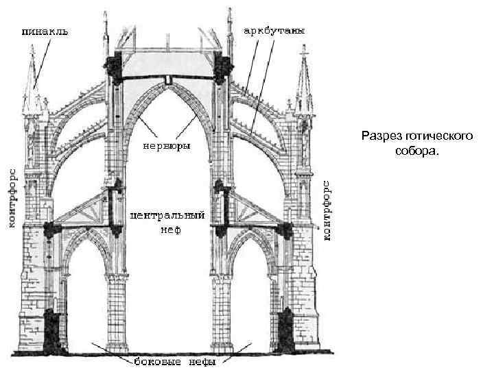 Разрез готического собора. 
