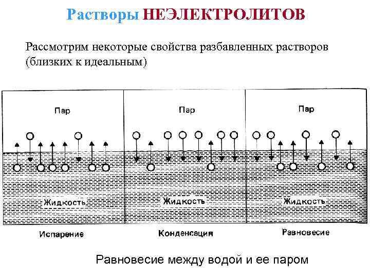Растворы НЕЭЛЕКТРОЛИТОВ Рассмотрим некоторые свойства разбавленных растворов (близких к идеальным) Равновесие между водой и