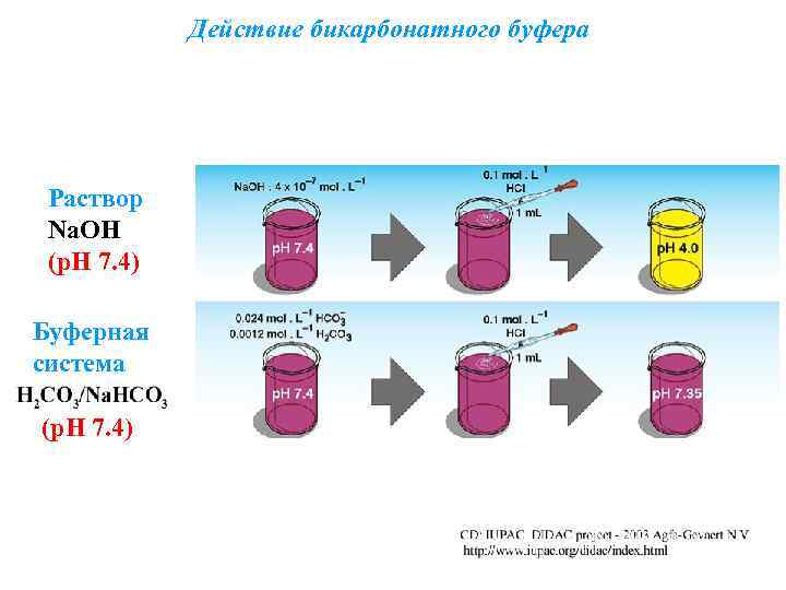 Действие бикарбонатного буфера Раствор Na. ОH (р. Н 7. 4) Буферная система (р. Н