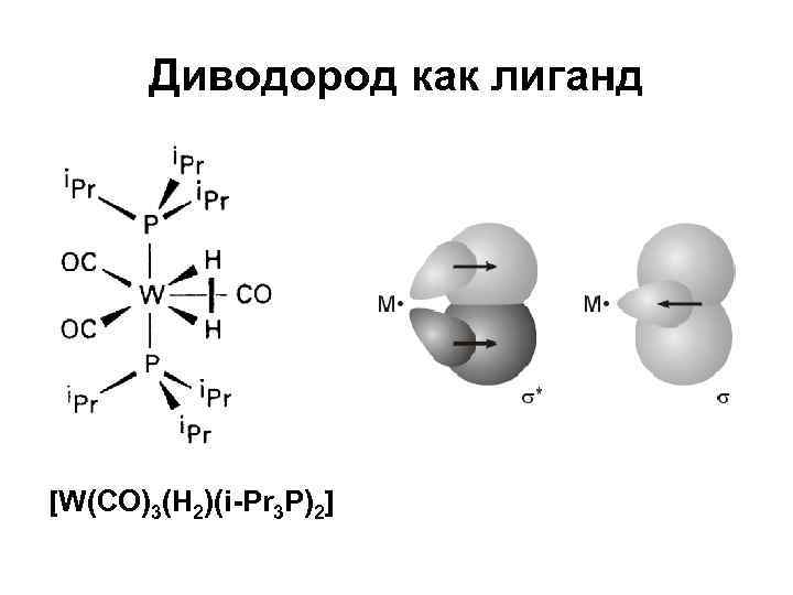 Диводород как лиганд [W(CO)3(H 2)(i-Pr 3 P)2] 