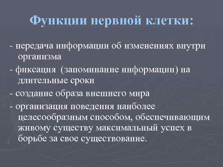 Функции нервной клетки: передача информации об изменениях внутри организма фиксация (запоминание информации) на длительные