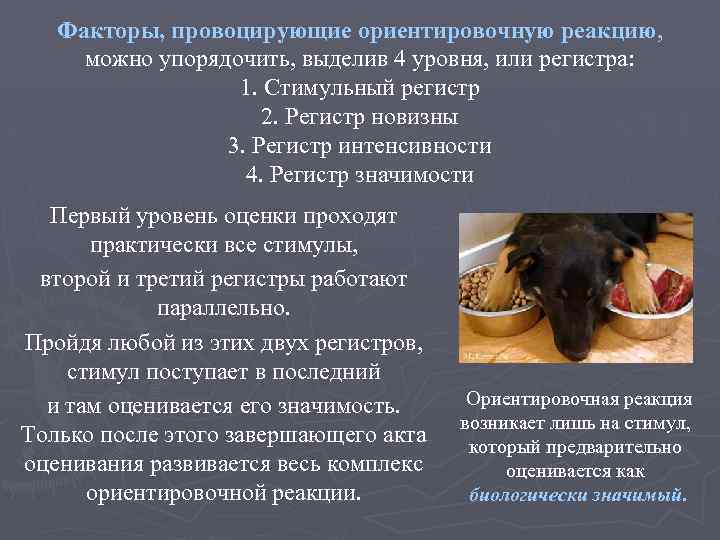 Факторы, провоцирующие ориентировочную реакцию, можно упорядочить, выделив 4 уровня, или регистра: 1. Стимульный регистр