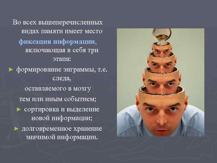 Во всех вышеперечисленных видах памяти имеет место фиксация информации, включающая в себя три этапа: