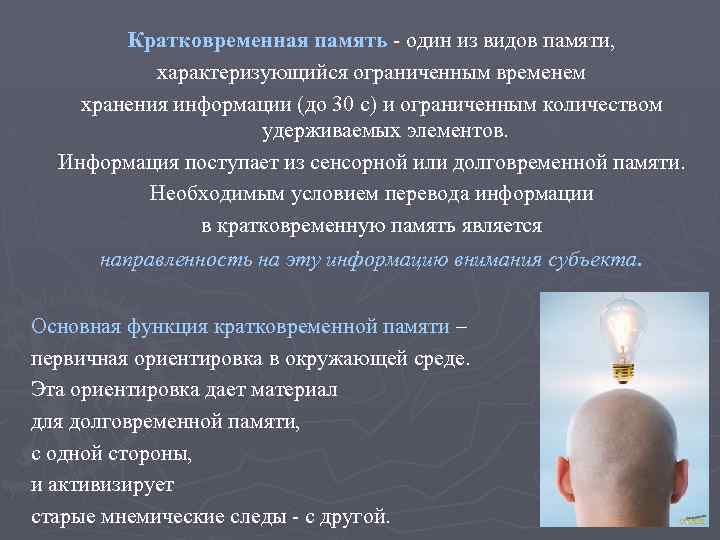 Кратковременная память один из видов памяти, характеризующийся ограниченным временем хранения информации (до 30 с)