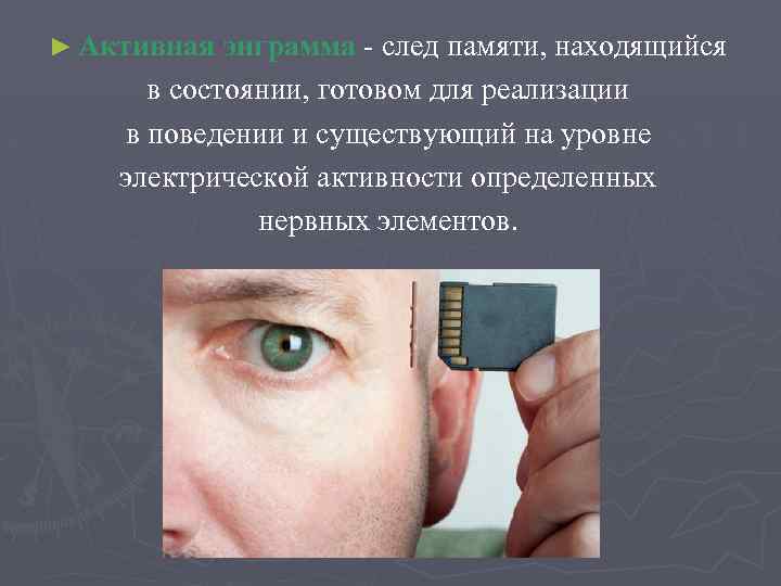 ► Активная энграмма след памяти, находящийся в состоянии, готовом для реализации в поведении и