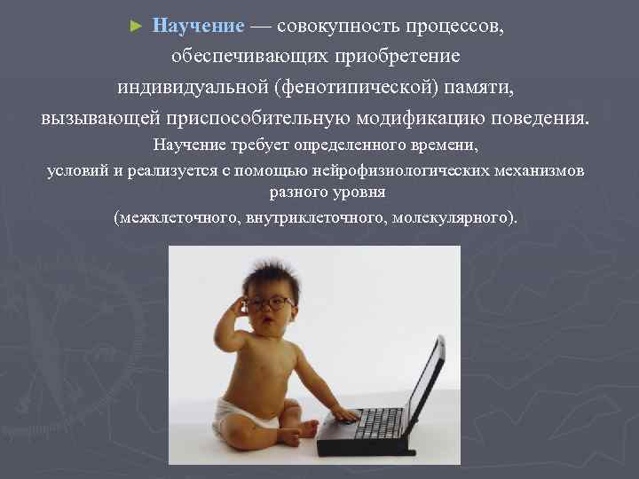 Научение — совокупность процессов, обеспечивающих приобретение индивидуальной (фенотипической) памяти, вызывающей приспособительную модификацию поведения. ►