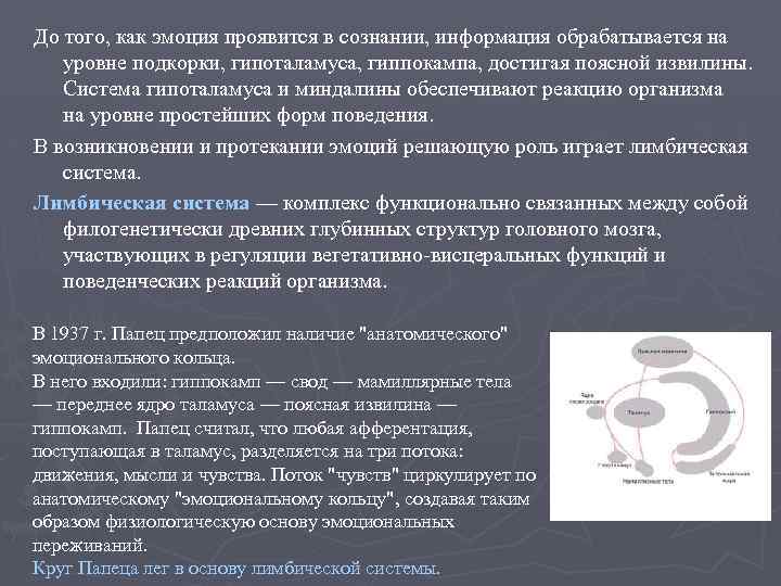 До того, как эмоция проявится в сознании, информация обрабатывается на уровне подкорки, гипоталамуса, гиппокампа,