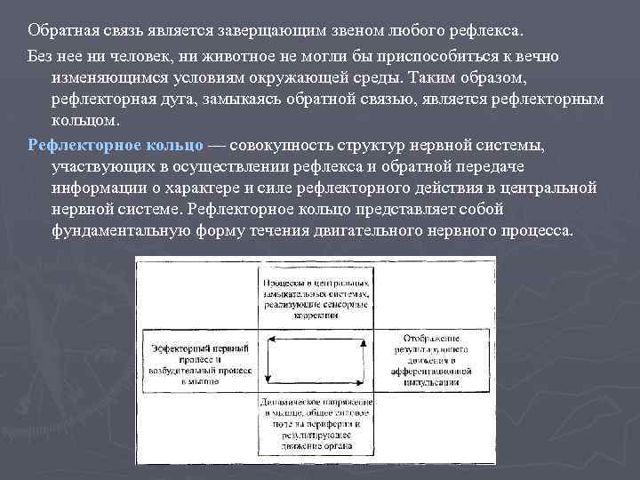 Обратная связь является заверщающим звеном любого peфлекса. Без нее ни человек, ни животное не
