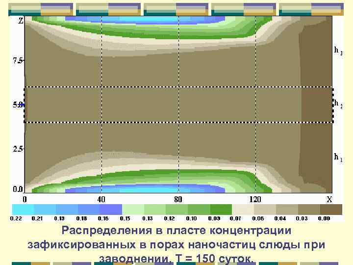 Распределения в пласте концентрации зафиксированных в порах наночастиц слюды при заводнении, Т = 150
