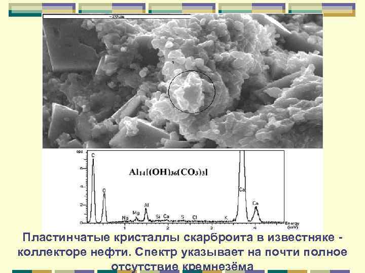 Пластинчатые кристаллы скарброита в известняке коллекторе нефти. Спектр указывает на почти полное отсутствие кремнезёма