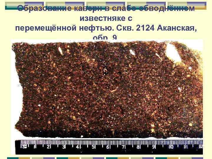 Образование каверн в слабо обводнённом известняке с перемещённой нефтью. Скв. 2124 Аканская, обр. 9.