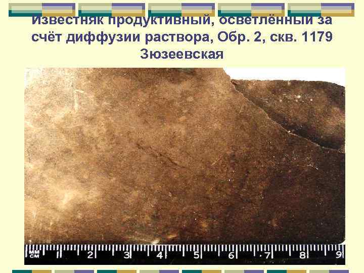 Известняк продуктивный, осветлённый за счёт диффузии раствора, Обр. 2, скв. 1179 Зюзеевская 