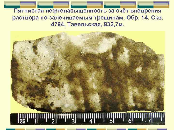 Пятнистая нефтенасыщенность за счёт внедрения раствора по залечиваемым трещинам. Обр. 14. Скв. 4784, Тавельская,