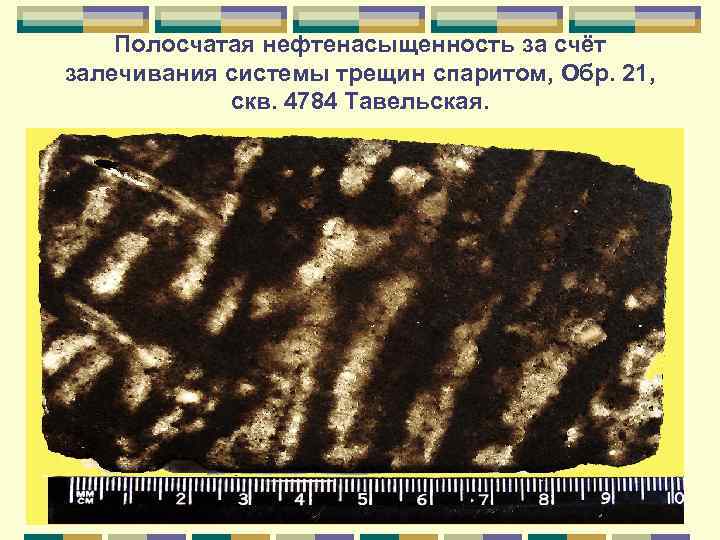Полосчатая нефтенасыщенность за счёт залечивания системы трещин спаритом, Обр. 21, скв. 4784 Тавельская. 