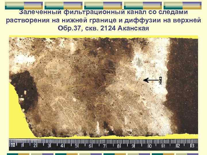 Залеченный фильтрационный канал со следами растворения на нижней границе и диффузии на верхней Обр.