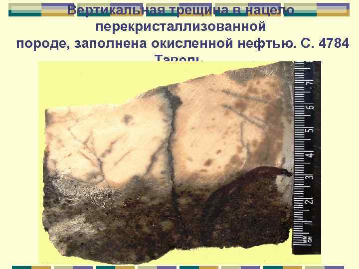 Вертикальная трещина в нацело перекристаллизованной породе, заполнена окисленной нефтью. С. 4784 Тавель. 