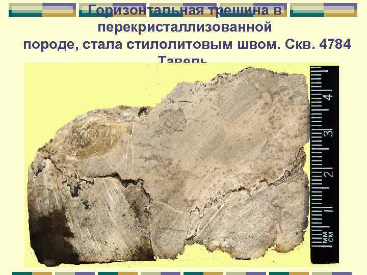 Горизонтальная трещина в перекристаллизованной породе, стала стилолитовым швом. Скв. 4784 Тавель. 