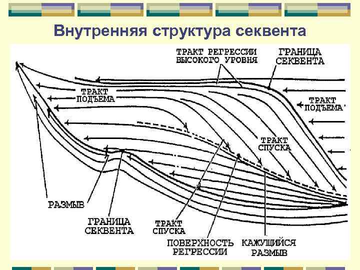 Внутренняя структура секвента 