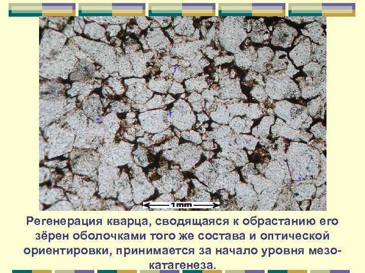 Регенерация кварца, сводящаяся к обрастанию его зёрен оболочками того же состава и оптической ориентировки,