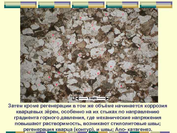 Затем кроме регенерации в том же объёме начинается коррозия кварцевых зёрен, особенно на их