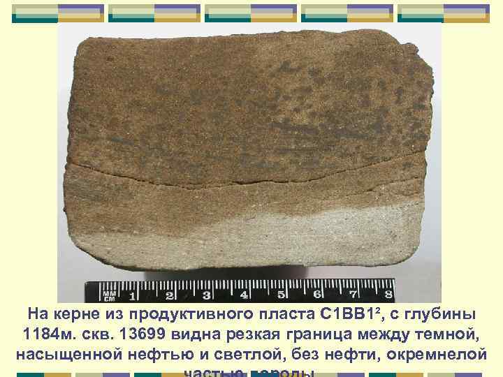 На керне из продуктивного пласта C 1 ВВ 1², с глубины 1184 м. скв.