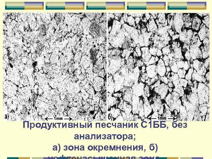 Продуктивный песчаник С 1 ББ, без анализатора; а) зона окремнения, б) 