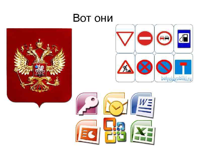 Вот они 