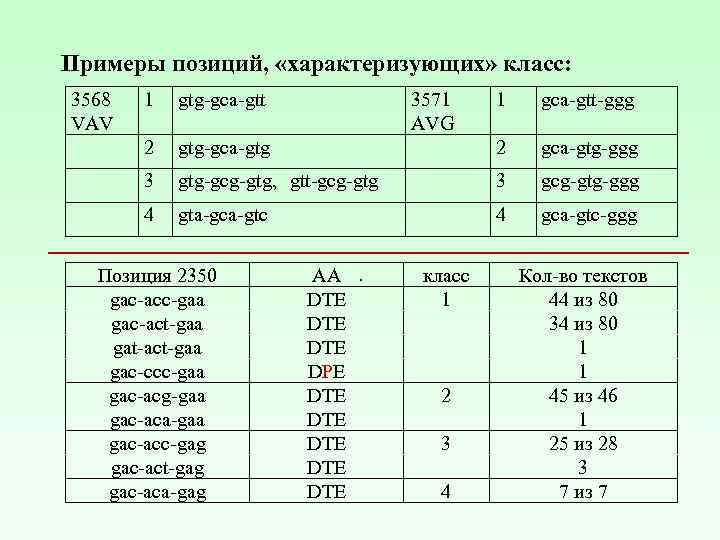 Примеры позиций, «характеризующих» класс: 3568 VAV 1 gtg-gca-gtt 2 1 gca-gtt-ggg gtg-gca-gtg 3571 AVG