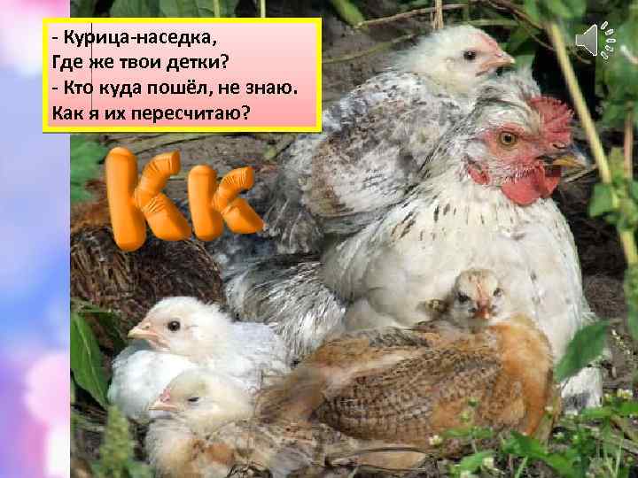 - Курица-наседка, Где же твои детки? - Кто куда пошёл, не знаю. Как я