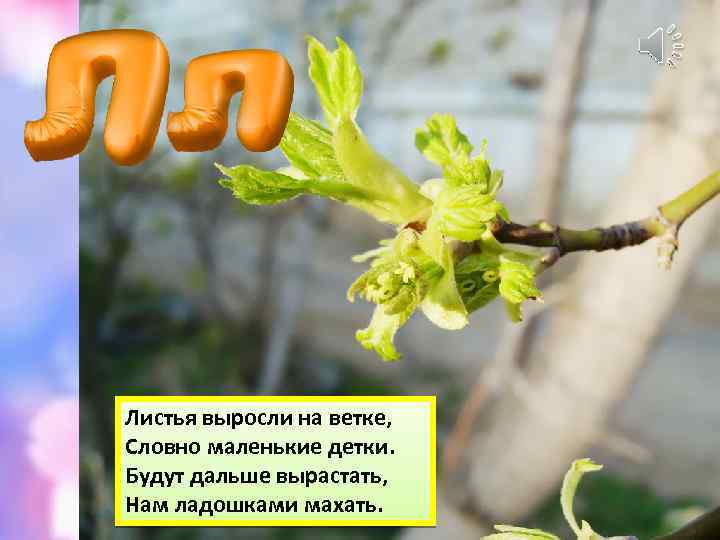 Листья выросли на ветке, Словно маленькие детки. Будут дальше вырастать, Нам ладошками махать. 