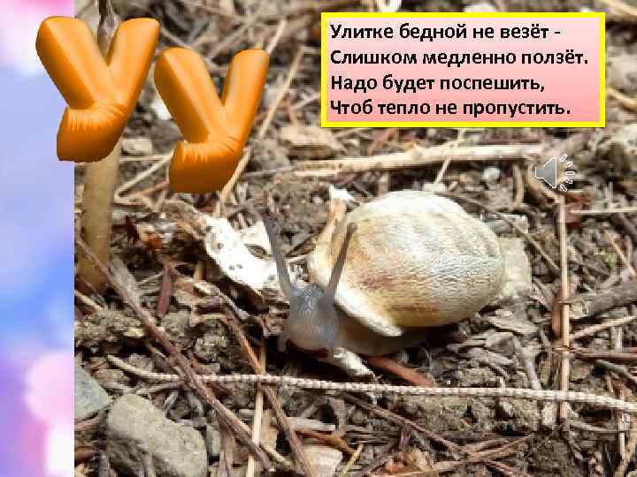 Улитке бедной не везёт Слишком медленно ползёт. Надо будет поспешить, Чтоб тепло не пропустить.